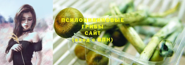 спайс Абаза