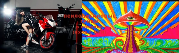 крисы Абинск