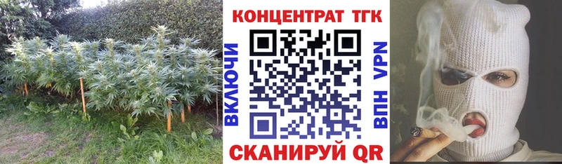 ТГК концентрат  как найти   Агрыз 