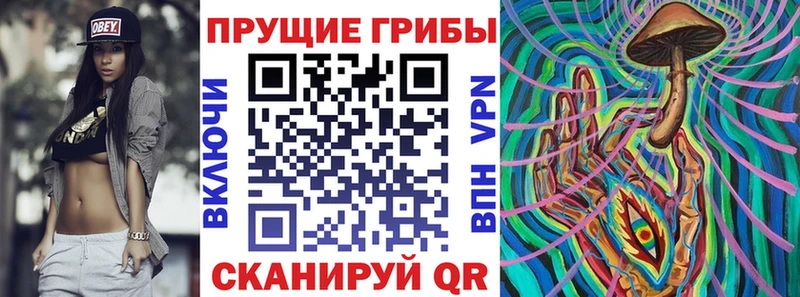 ОМГ ОМГ вход  где продают   Агрыз  Псилоцибиновые грибы ЛСД 